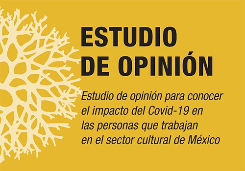 Estudio de Opinión